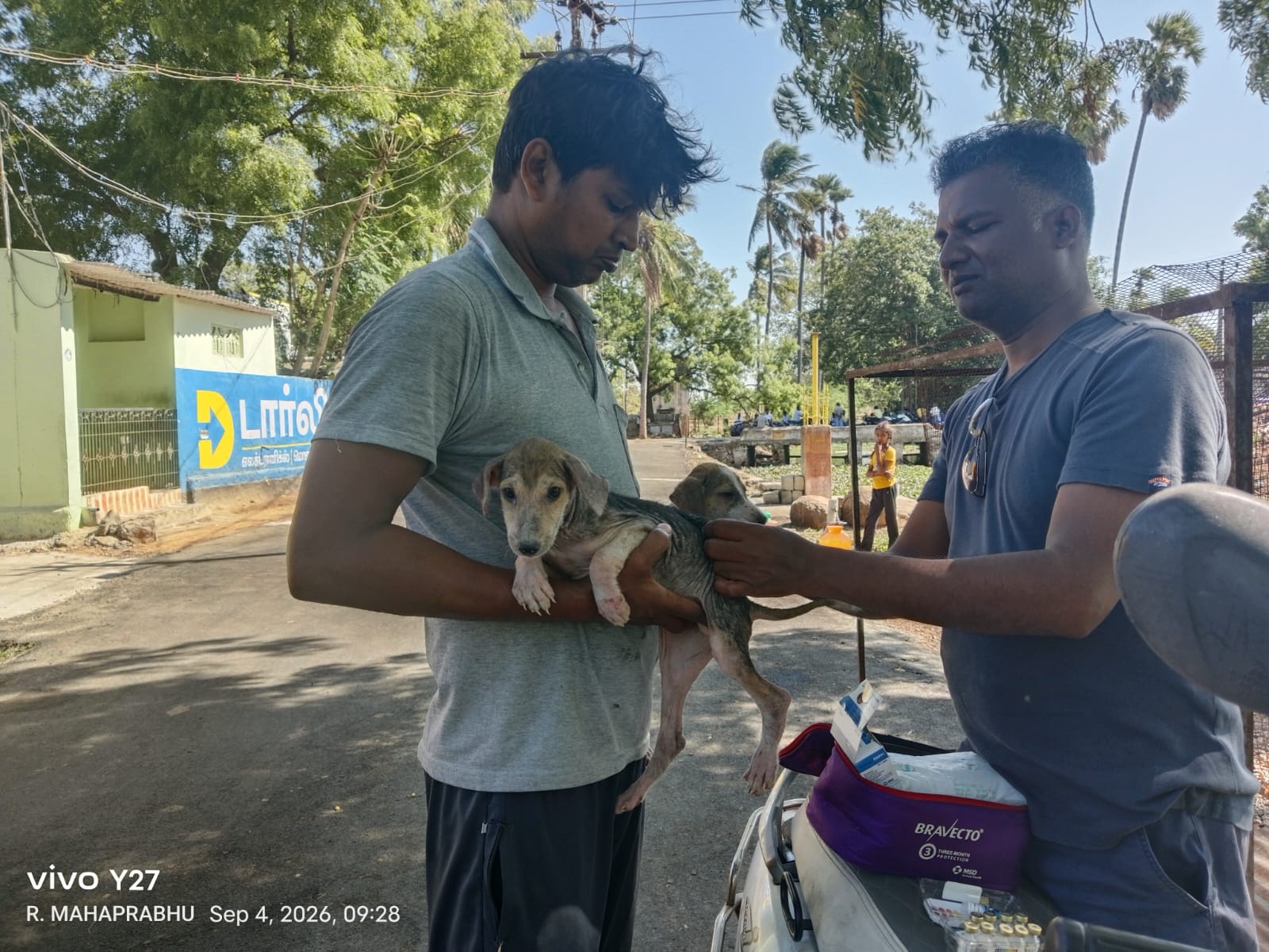Rabies Vaccination for Stray Dogs