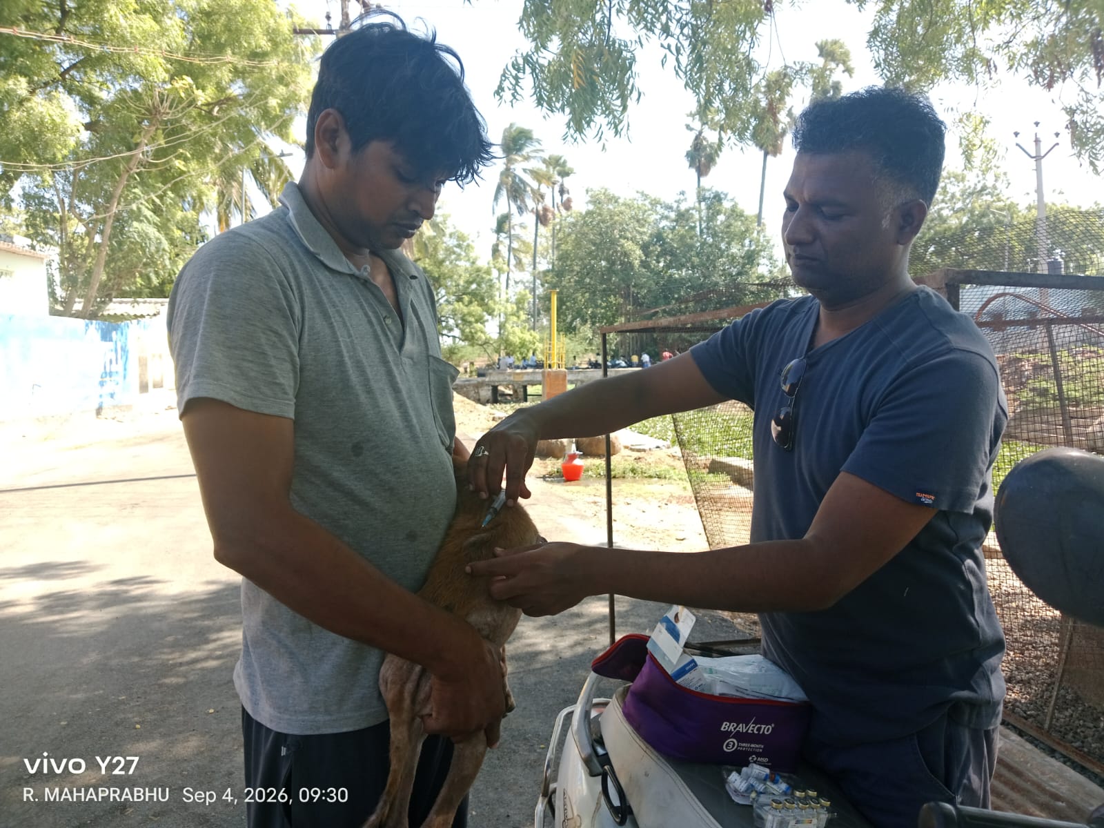 Vaccination for Dogs
