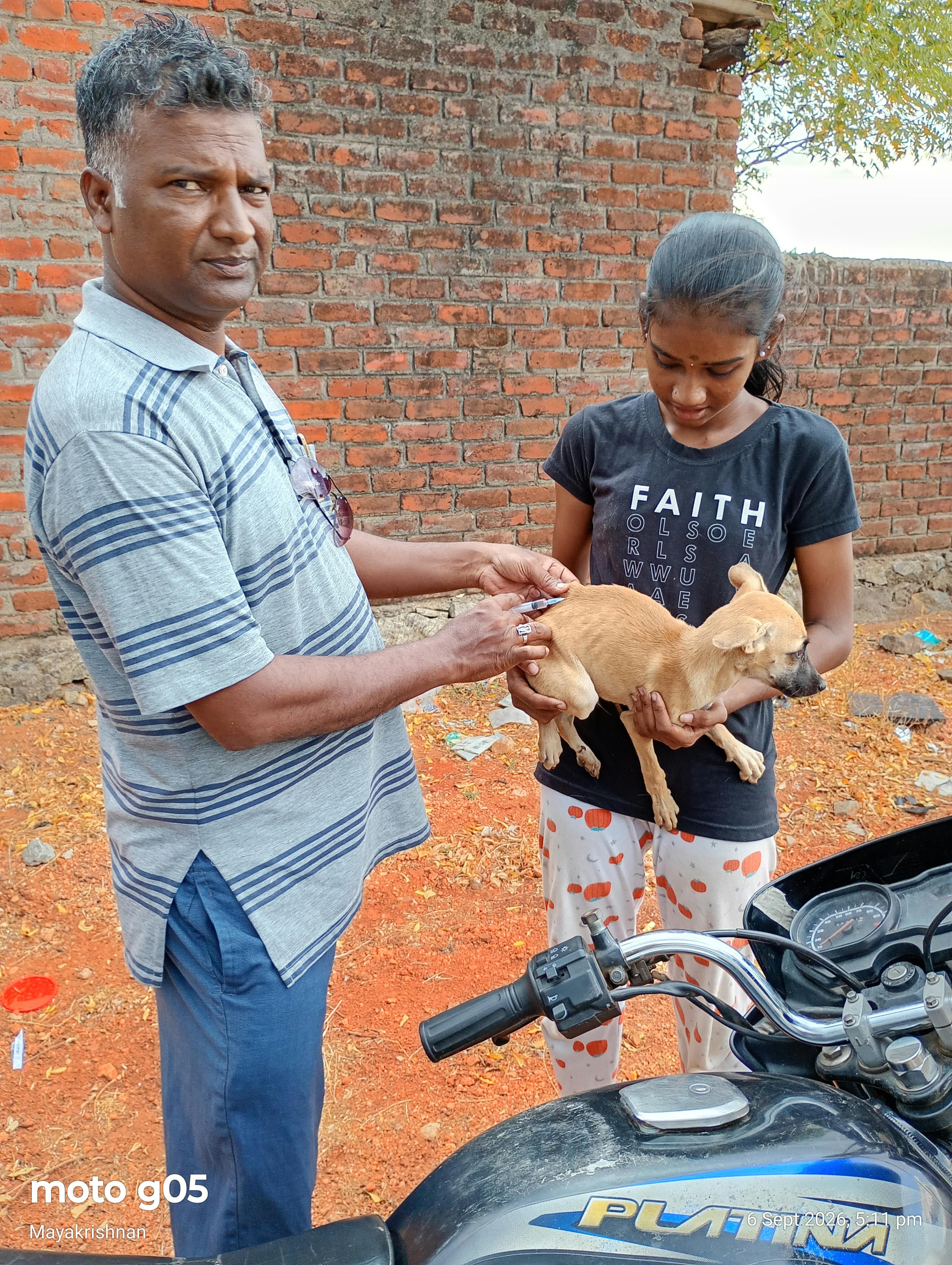 Community Puppy Immunization